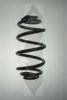 SPIDAN 86435 Coil Spring